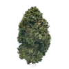 THCP London Pound Cake