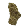 THCP Biscotti