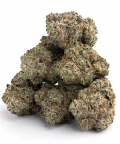 White Widow Strain