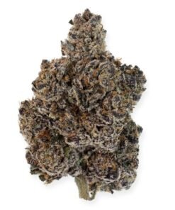 DARK DREAMS Weed