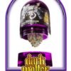 Wizard Trees Dark Matter
